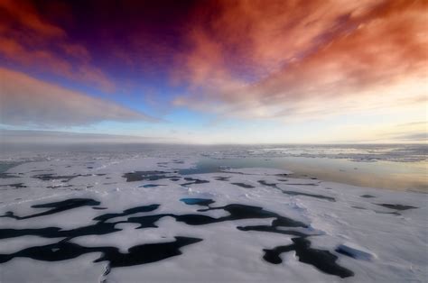 arctic sea ice - Earth Buddies