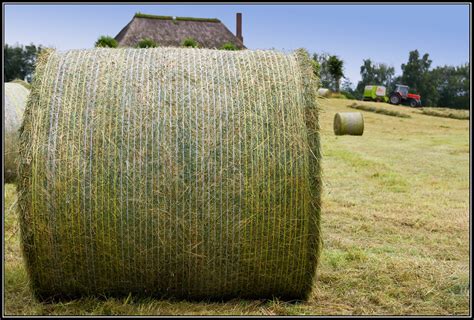 hay bale | a hay bale in a near outdoor museum. (they show o… | Flickr