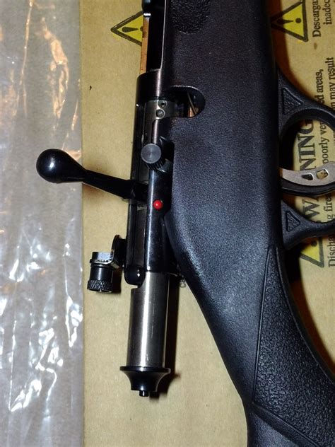 Savage Arms Savage Rascal Youth 22lr 16 .22 Lr For Sale at GunAuction ...