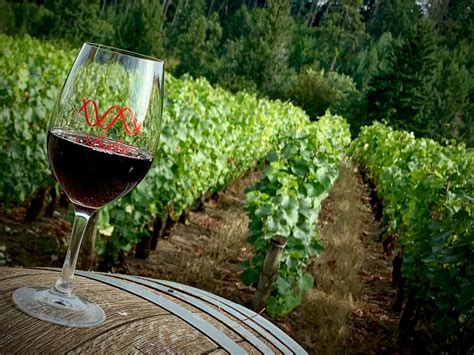 Oregon Wine Tasting Tour | America's Hub World Tours