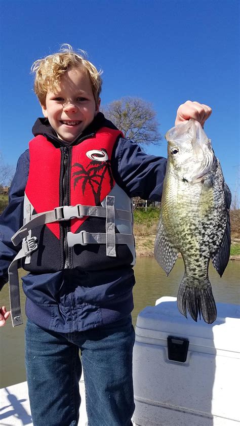 Fish Photos Gallery • Texas Crappie Fishing Service