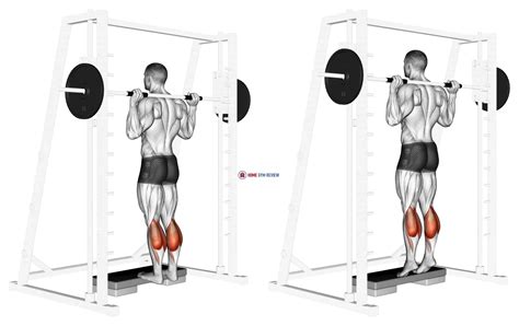 Smith Calf Raise (version 2) - Home Gym Review