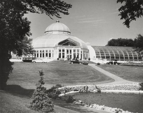 History - Como Zoo Conservatory