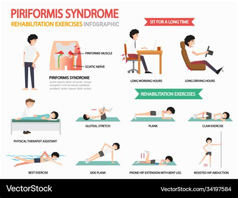 Piriformis syndrome rehabilitation exercises Vector Image