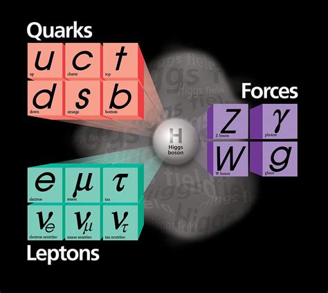 Definition of a Boson Particle