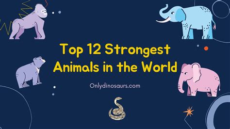 Top 12 Strongest Animals In The World