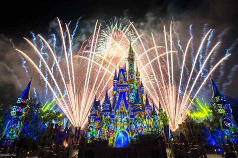 The 5 Best Things To Do In Disney World In July - Disney by Mark