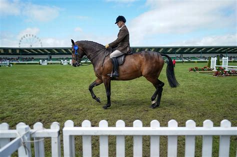 70 fabulous Great Yorkshire Show day two pictures with shows, sunshine ...