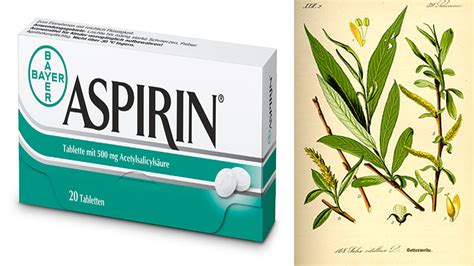 History of Aspirin- Willow Bark Extract - Good News!