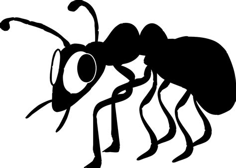 80+ of the Best Termite Pictures for Free [HD] - Pixabay