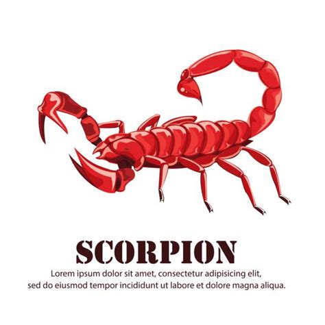 Scorpion Tail Illustrations, Royalty-Free Vector Graphics & Clip Art ...