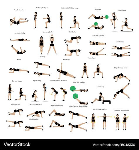 List Of Gym Exercises With Pictures - Exercise Poster