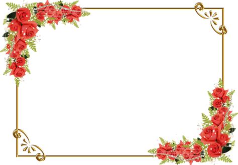 Rose Flower Border Drawing Red PNG Image High Quality Transparent HQ ...