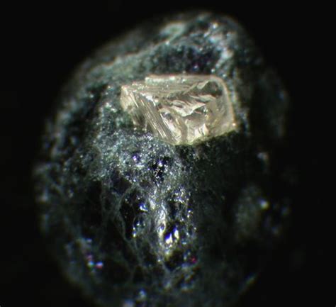 Xenoliths – Team Diamond