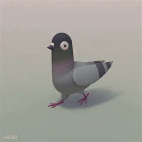 Pigeon Animated GIFs | Tenor