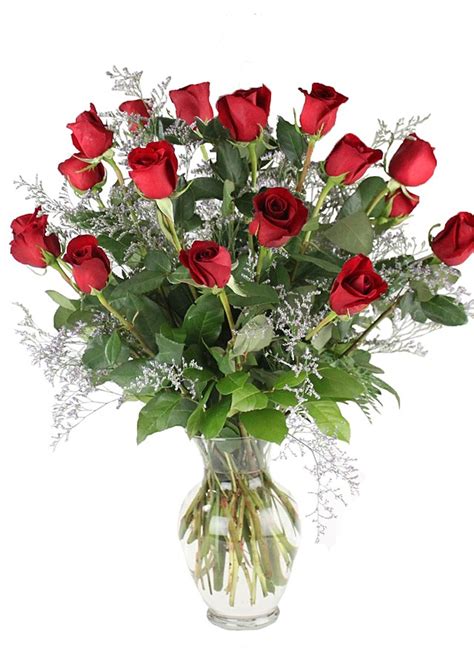 3 Dozen Wrapped Long Stem Rose Bouquet | The Flower Alley