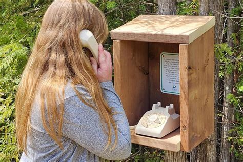 Kawartha Conservation installing two ‘wind phones’ at Ken Reid ...