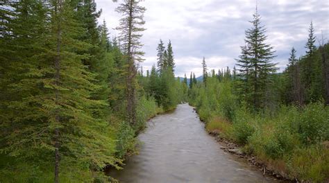 Chena River State Recreation Area in Alaska | Expedia