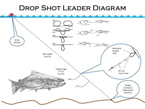 The Best How To Fish Drop Shot Rig References