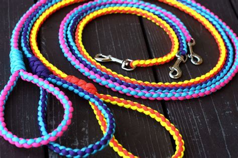 Marvelous 5 Explanation On Why Braided Dog Leashes Is Important https://meowlogy.com/2018/12/24 ...