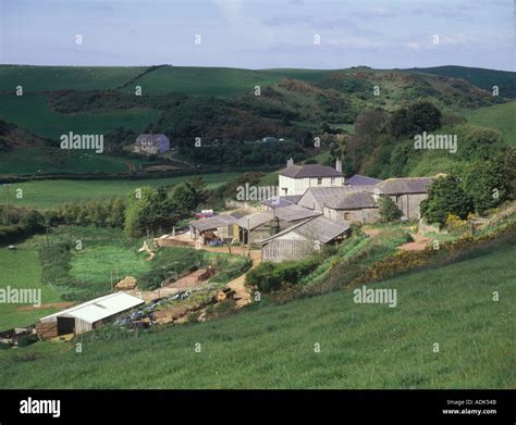 Farmland South Devon Farm Hope Cove Stock Photo - Alamy