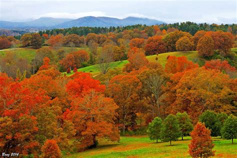 At the Biltmore Estate (Fall+colors mountains trees ). Photo by BoazR | Biltmore estate ...