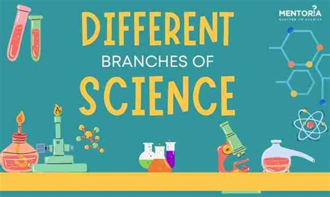 Different Branches of Science - Mentoria