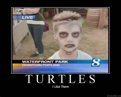 [Image - 23346] | I Like Turtles | Know Your Meme