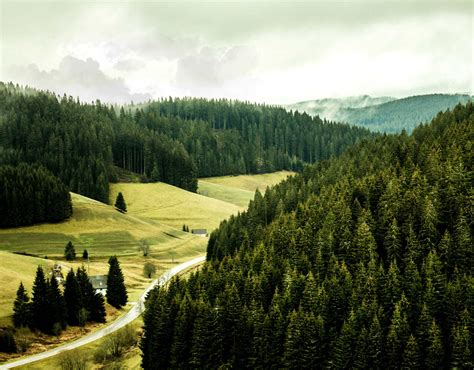 What to See in The Black Forest, Germany • EverythingAboutGermany