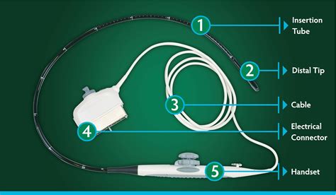 What is a TEE Ultrasound Probe - CS Medical