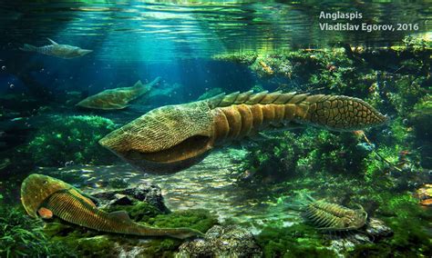 Anglaspis, agnathan from late Silurian | Prehistoric animals, Prehistoric creatures, Ancient fish