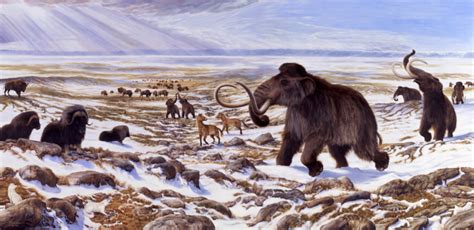 Did climate cause the extinction of the Ice Age megafauna?