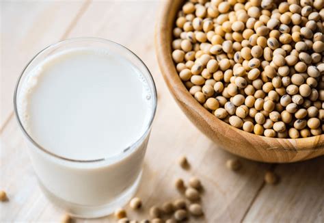 10 Simple (But Important) Things to Remember About Soy Protein – Boot Camp & Military Fitness ...