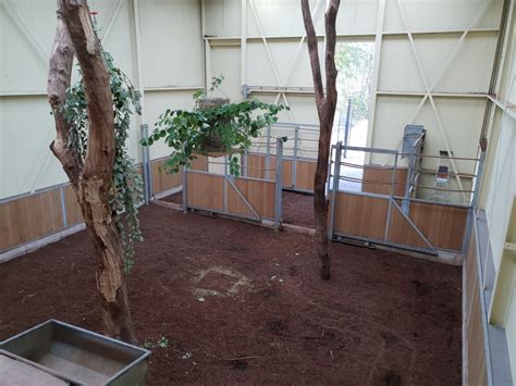 Giraffe indoor enclosure - ZooChat