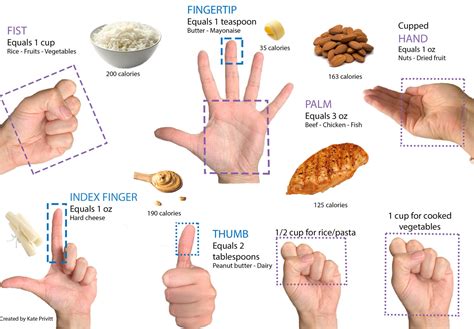 Portion Size Guide — Energy Balance Nutrition Consulting (EBNC)