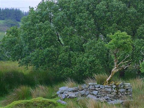 Free picture: glengesh, pass, Ireland, landscape