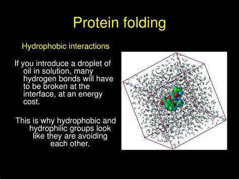 PPT - Protein folding PowerPoint Presentation, free download - ID:4463362