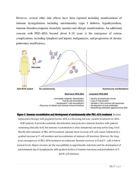 Adenosine deaminase (ADA) Gene Therapy