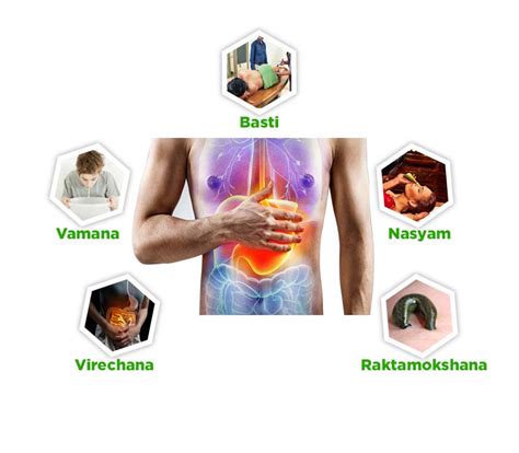 Panchakarma Hospital NCR Delhi, Best Panchkarma Centre Near Me ...