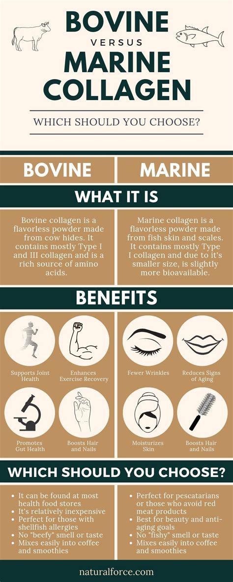 fish collagen benefits – hydrolyzed collagen benefits – Crpodt