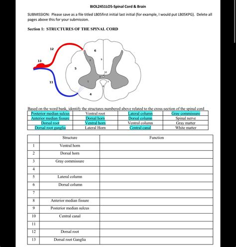 SOLVED: Fill in the diagram and answer the 3 questions Where will a motor neuron and interneuron ...