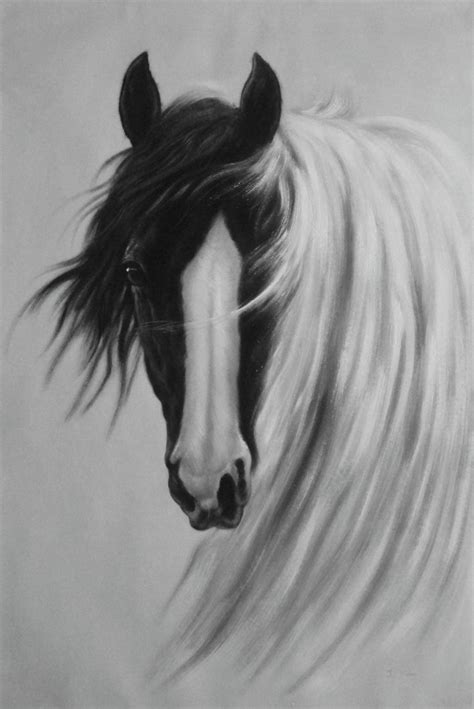 Gorgeous Black White Horse With Long and Flowing White Manes Oil ...