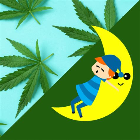 Does Cannabis Help with Insomnia? - MOSCA SEEDS