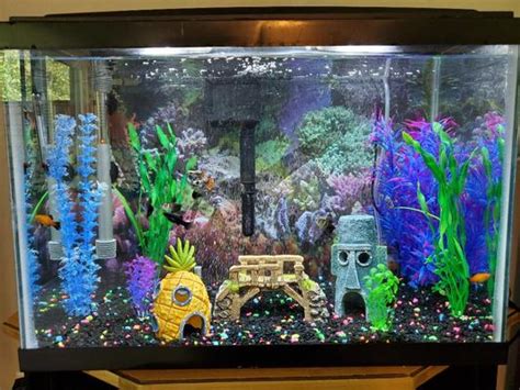 GLOFISH Fluorescent Aquarium Gravel, Black, 5-lb bag - Chewy.com