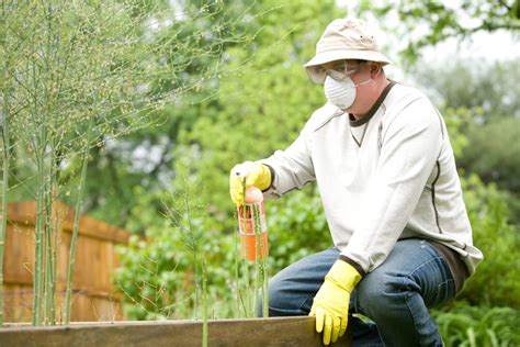 Here's Why Chemical Pesticides Are Dangerous: And Why to Switch to Eco-Friendly Pest Control ...