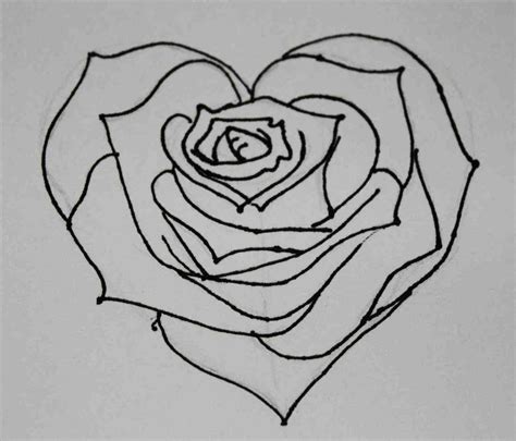 Rose Sketch Easy at PaintingValley.com | Explore collection of Rose Sketch Easy