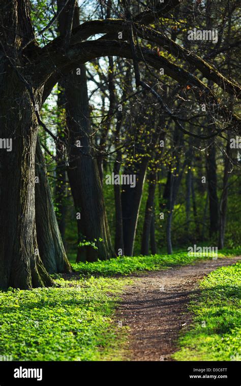 Spring Park nature background Stock Photo - Alamy