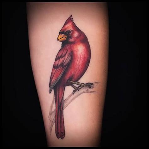 Cardinal Bird Tattoo Color Realism by DSD Done@ Tattoo Nouveau Lake ...