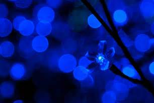 Blue Led Lights Free Stock Photo - Public Domain Pictures