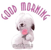 Good Morning Sweetie.Gif GIF - Good morning sweetie Good morning wishes Good morning greetings ...